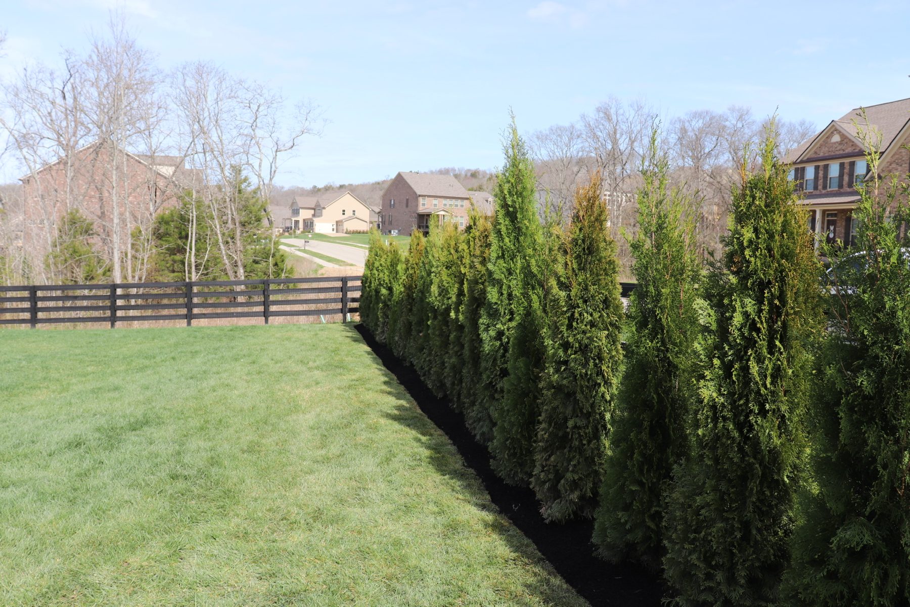 Front yard landscape refresh with fresh mulch and shrubs