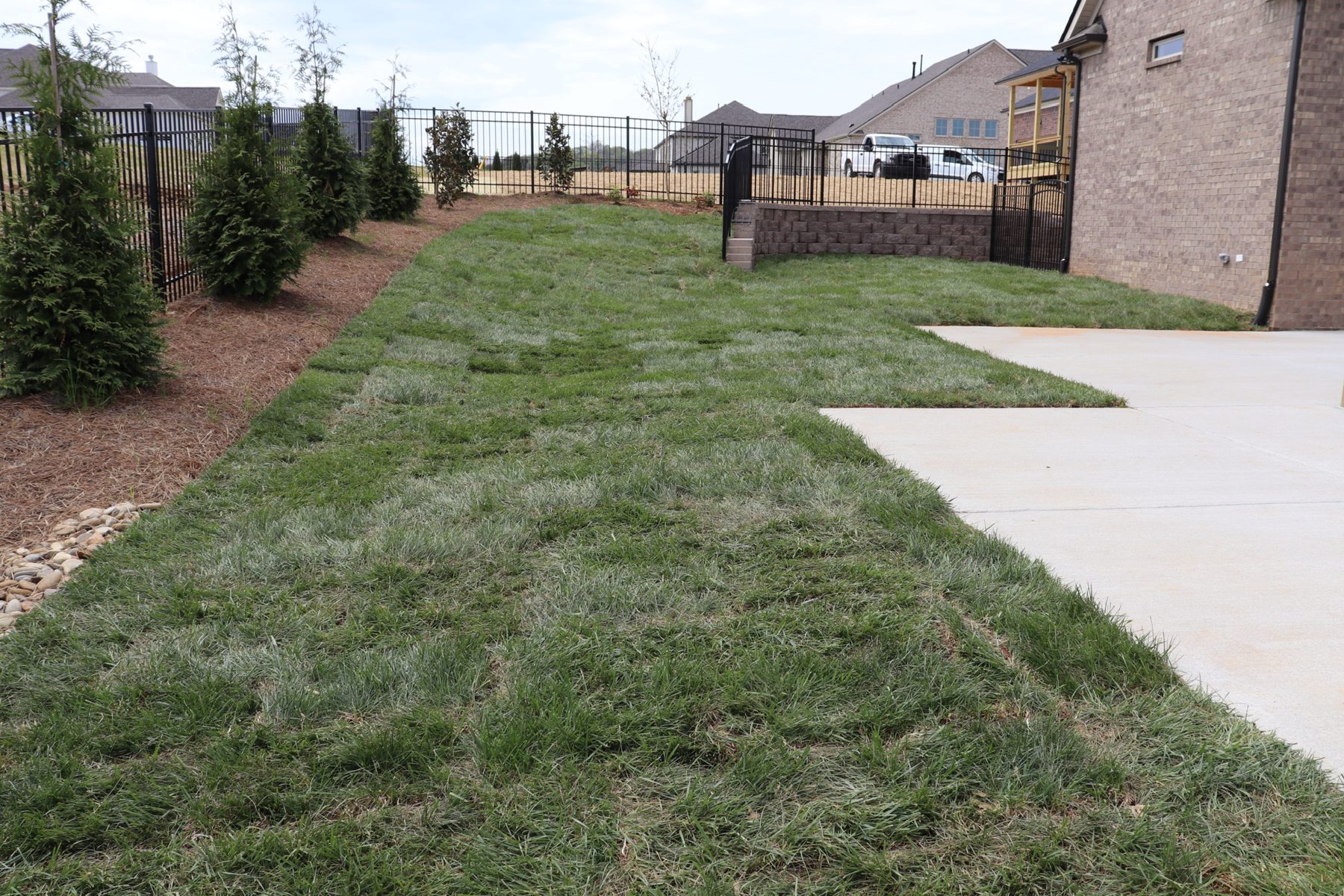 Evergreen Privacy Row — Thompson's Station, TN